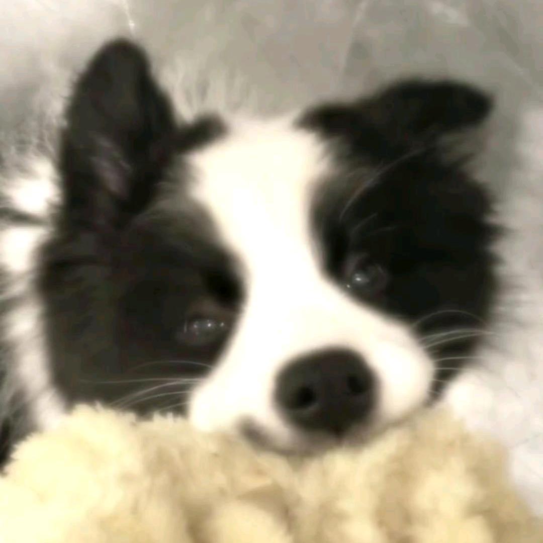 嘻嘻😁