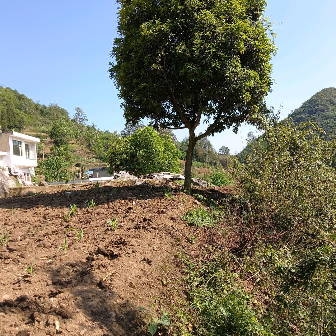 告诉自己要坚强