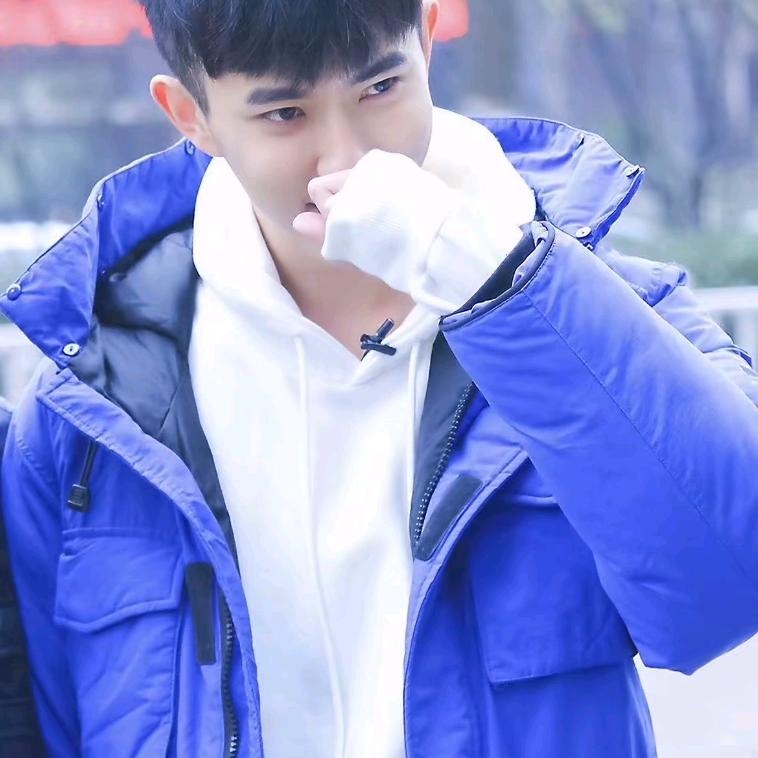 冬瓜西瓜哈密瓜