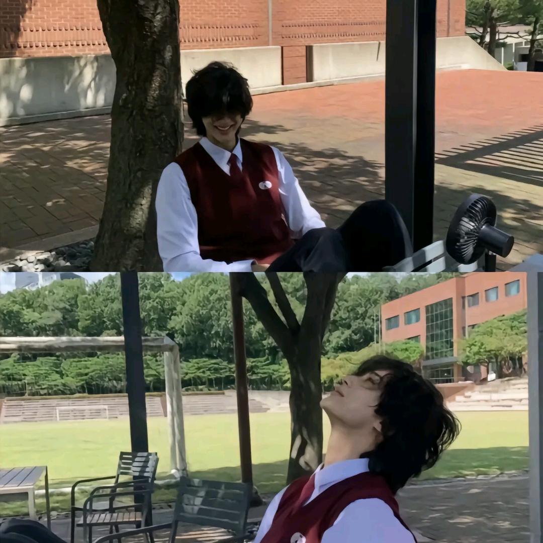柚梧桐
