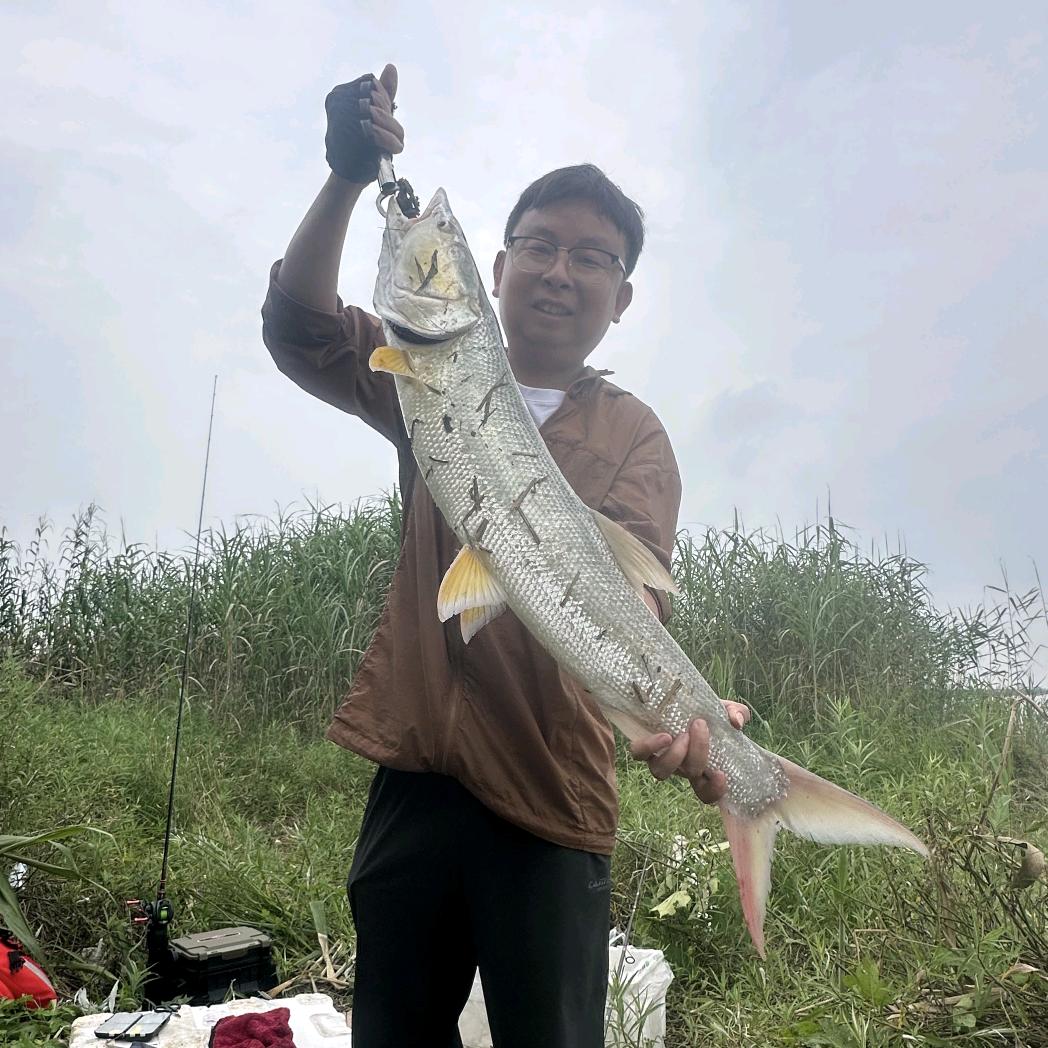 铁打何🎣