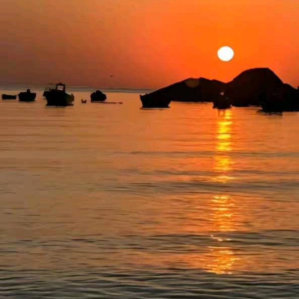 🍃细雨💦微尘🌧