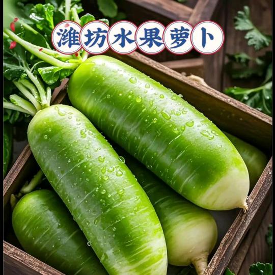 正宗潍坊水果萝九月