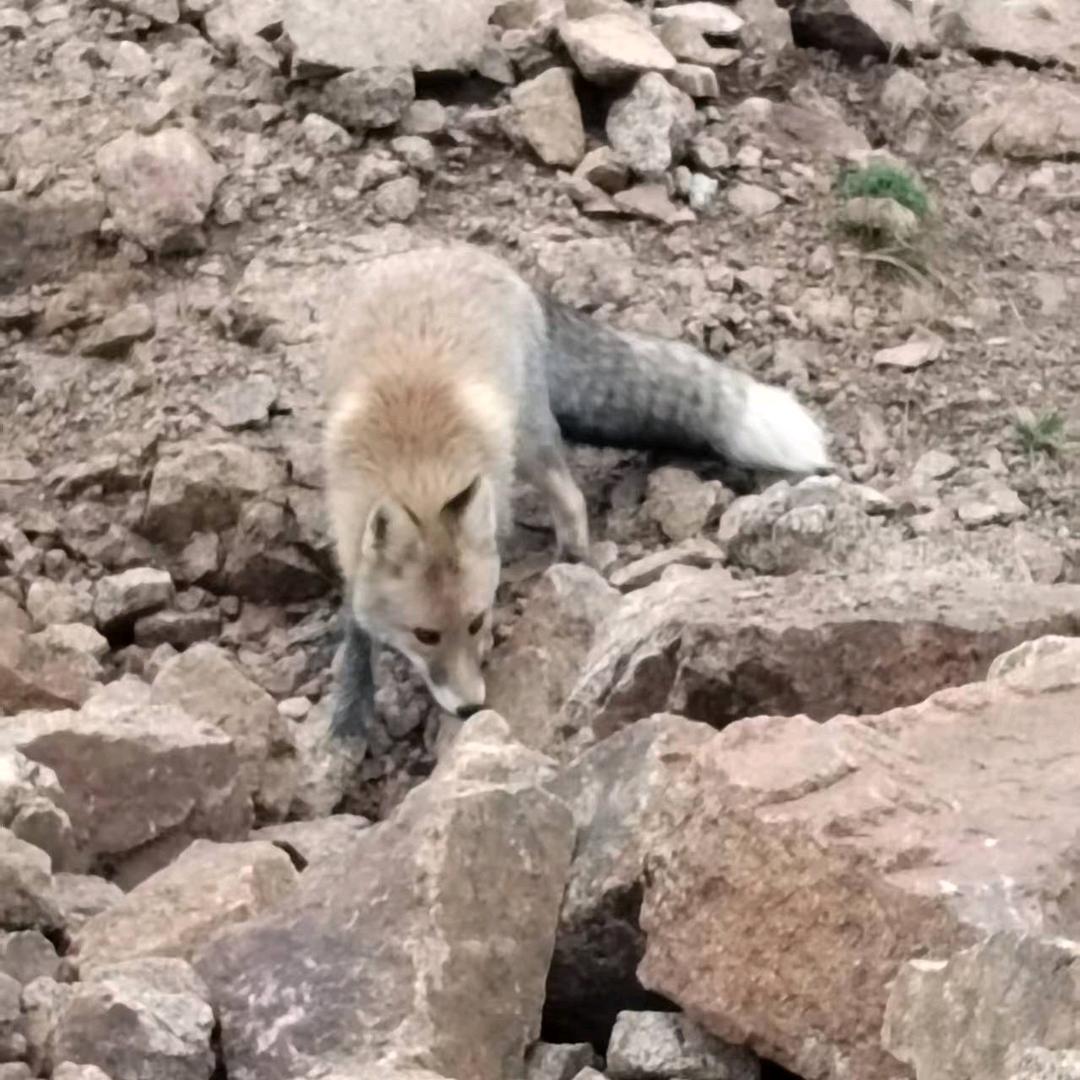 单枪匹马闯人生