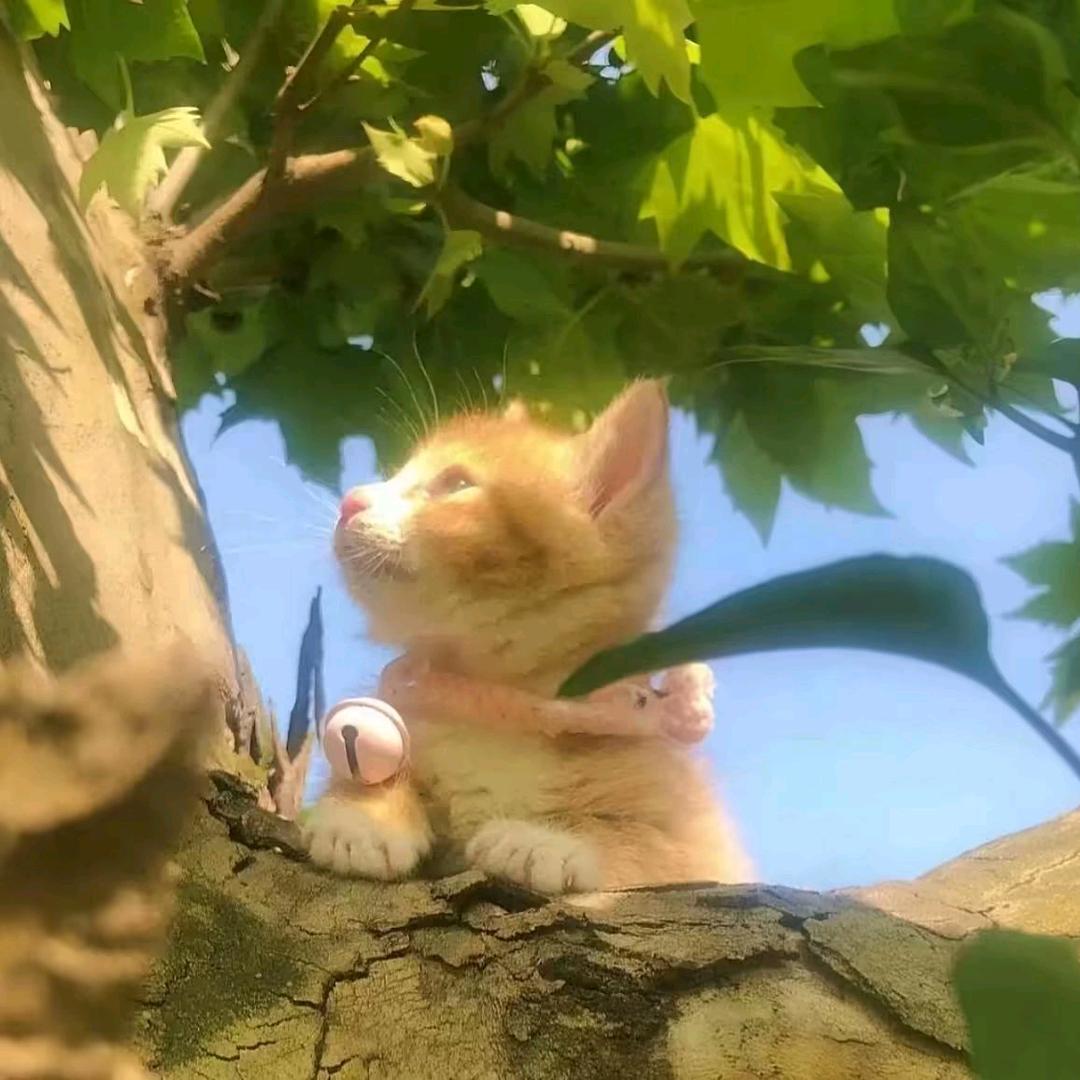 以温