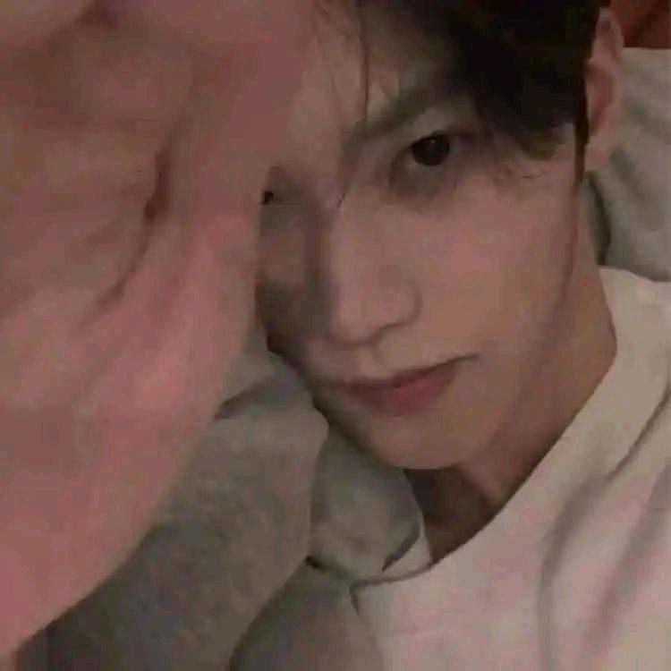 抽象被偷苦茶子