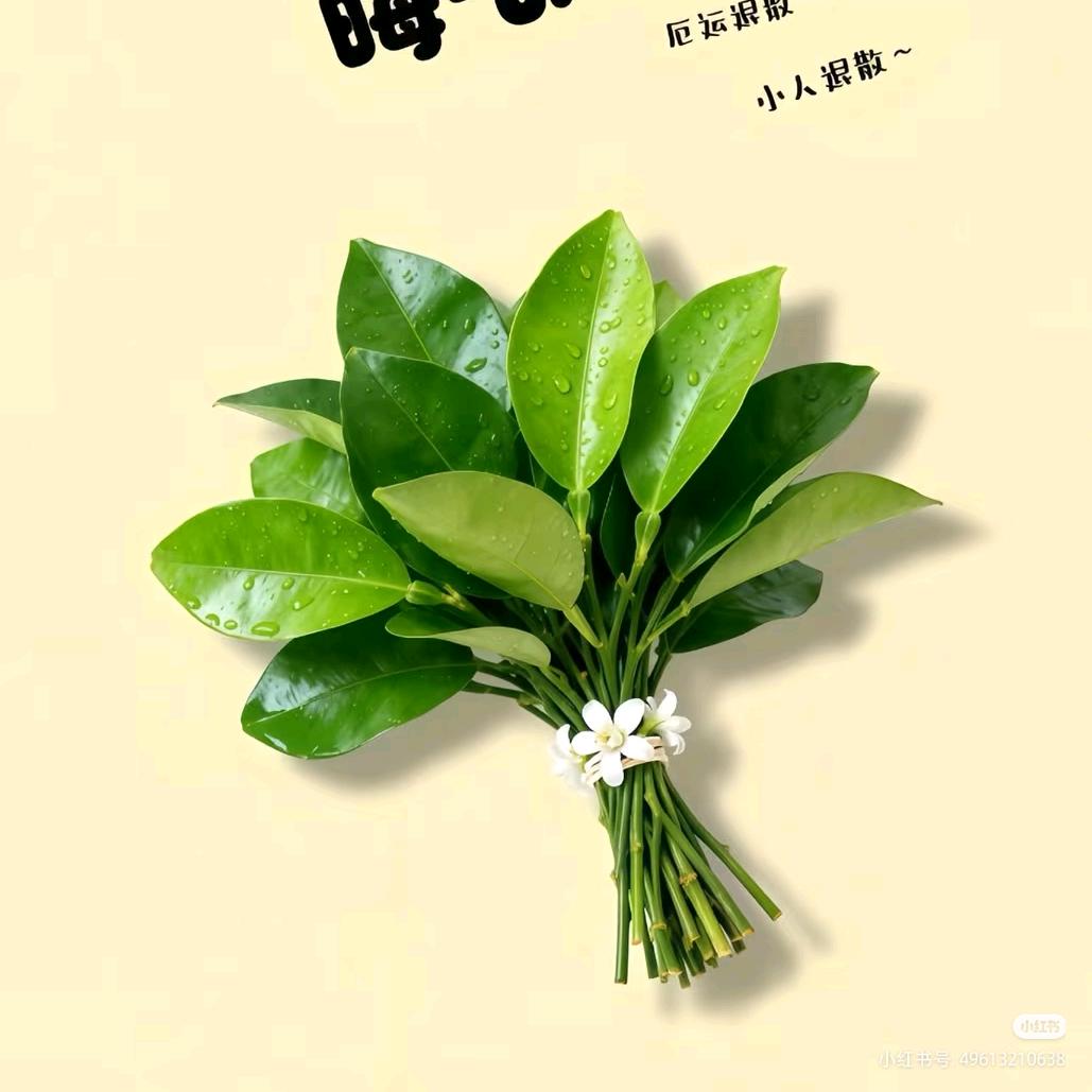 宋晓宝.