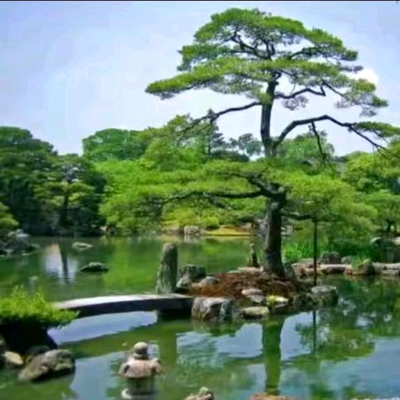 沉默。