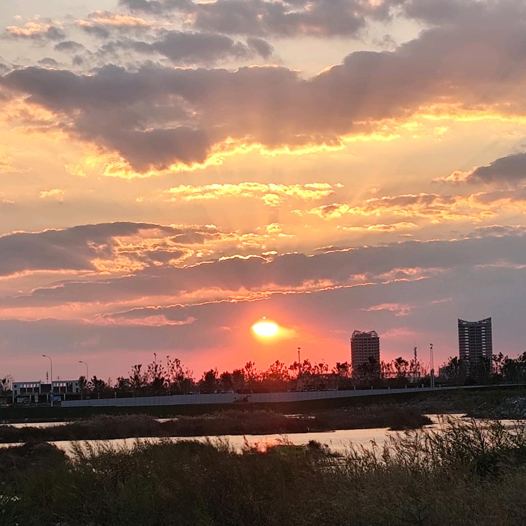 迪克.陈