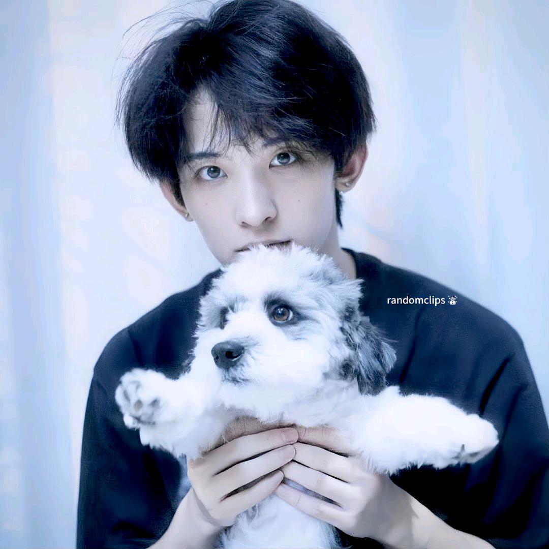 慕森团🥀（流量回家）