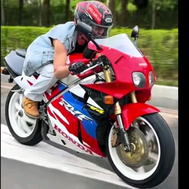 🌹等伞💖不如等雨停🌹