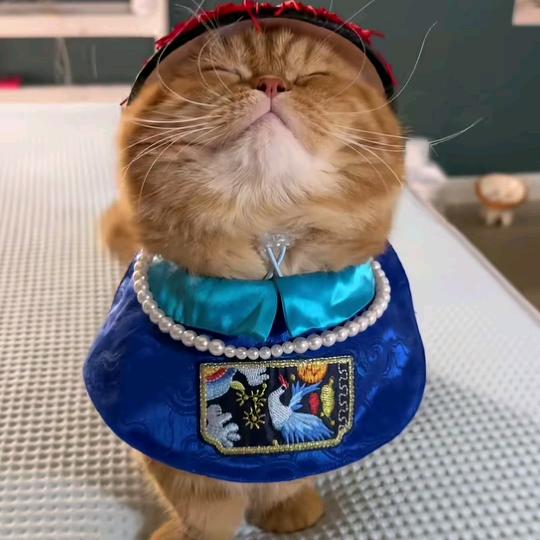 河边草