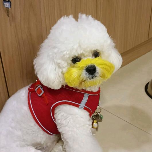 垣曲一点点商行