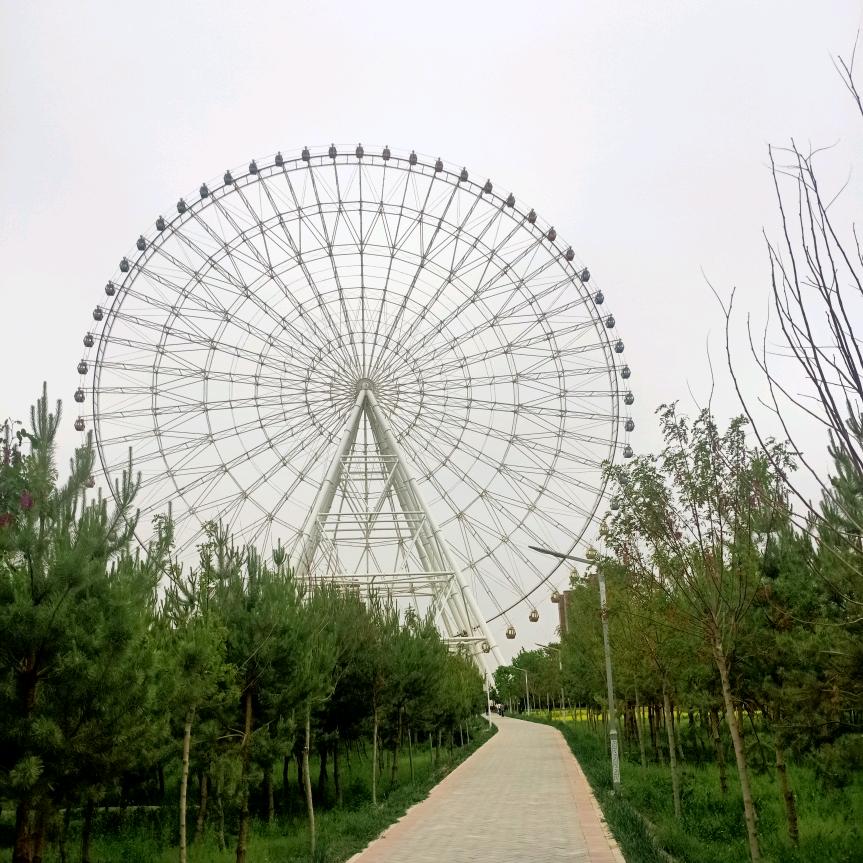 乐乐爱你