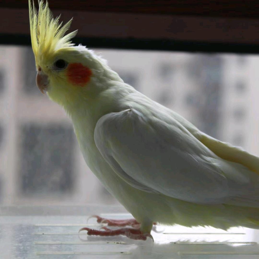 杰哥爱生活