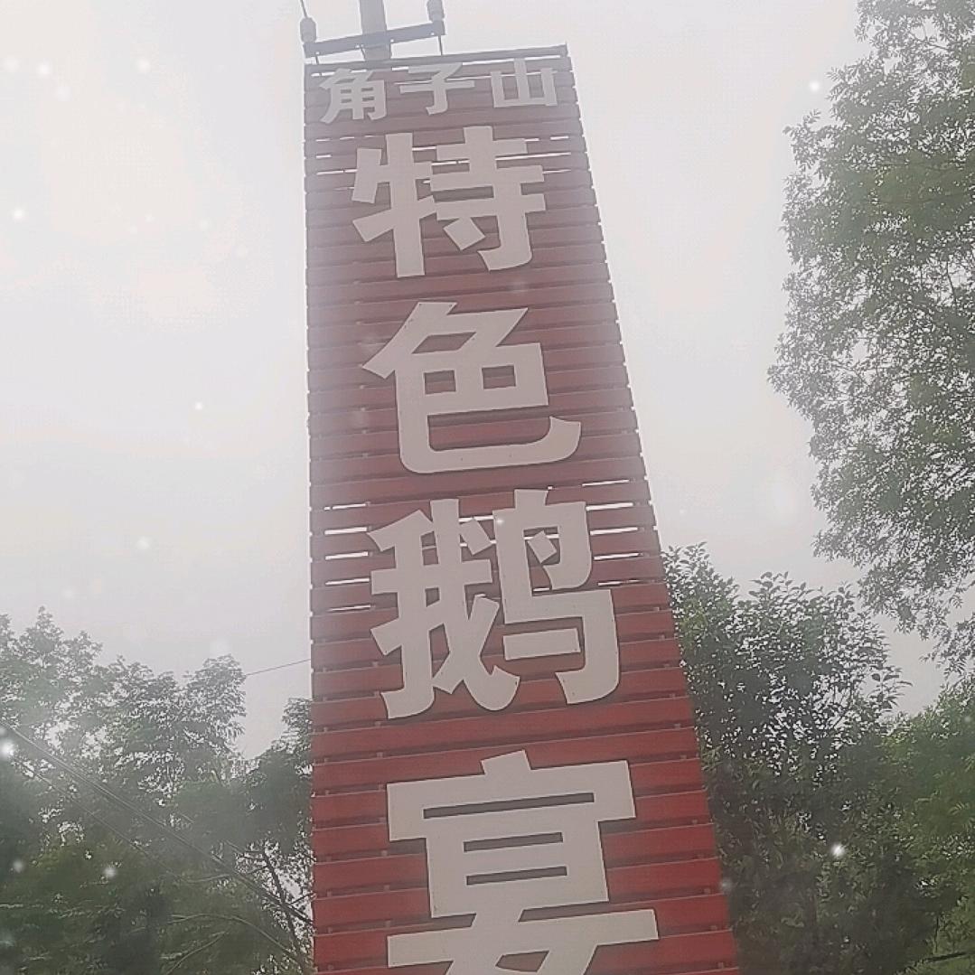 泌阳县角子山特色鹅晏