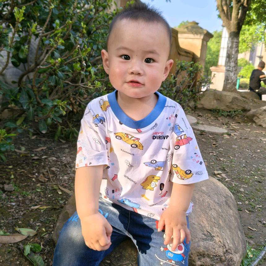 喜凤