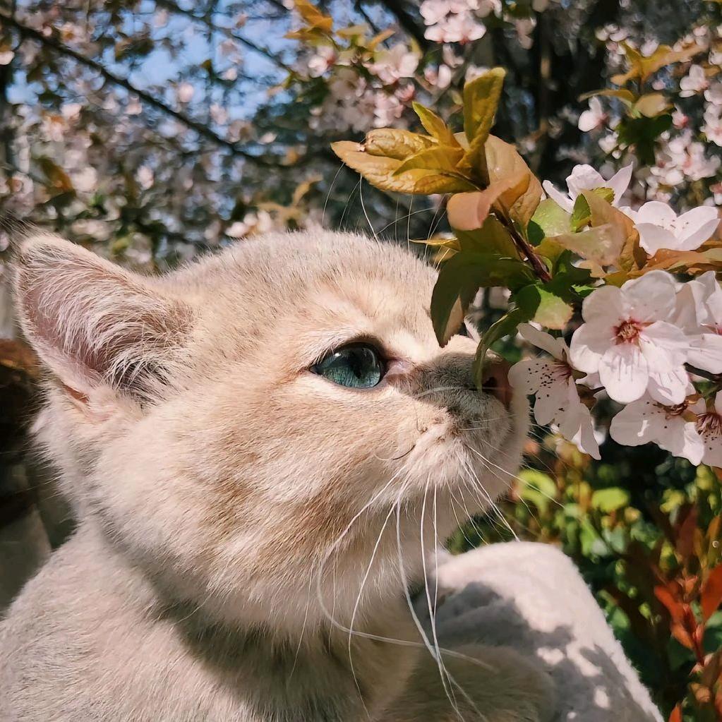 钱嘟嘟💫