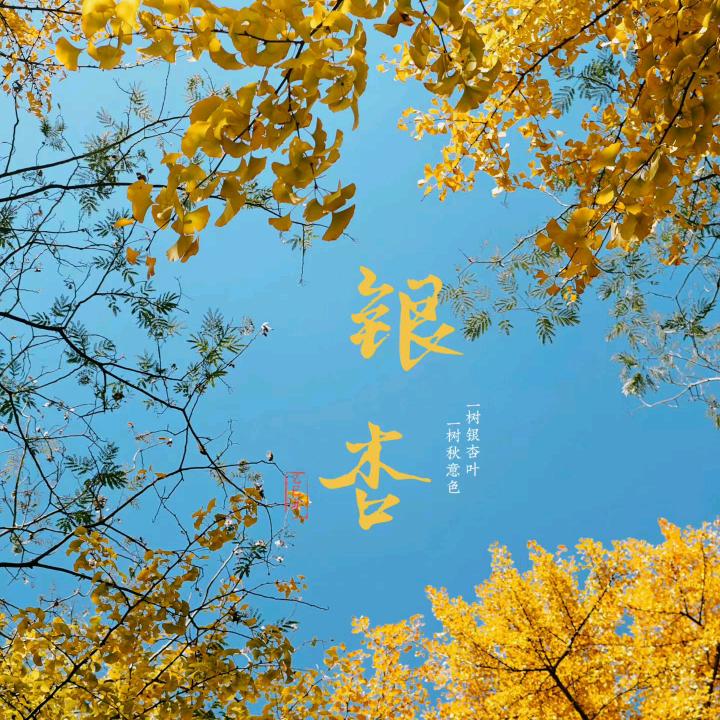 🌻🌻八九+十一🌻