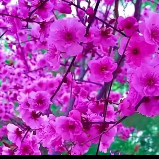 昆明车房抵机构公司