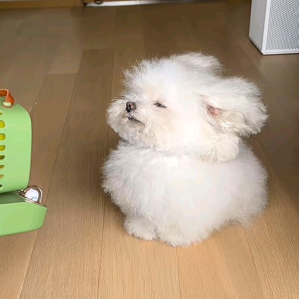 哈哈哈哈我是谁