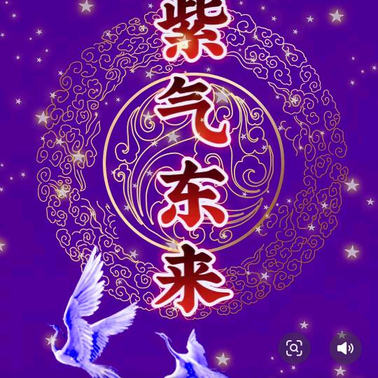晶哥