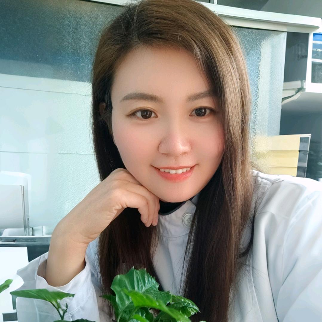 慧心如是