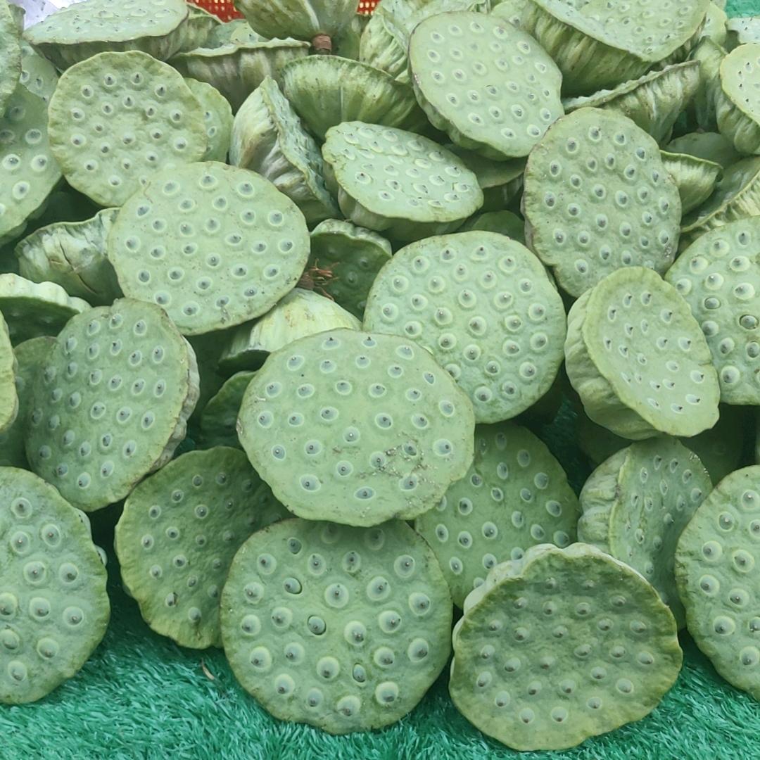 枣阳祁兵水果莲蓬