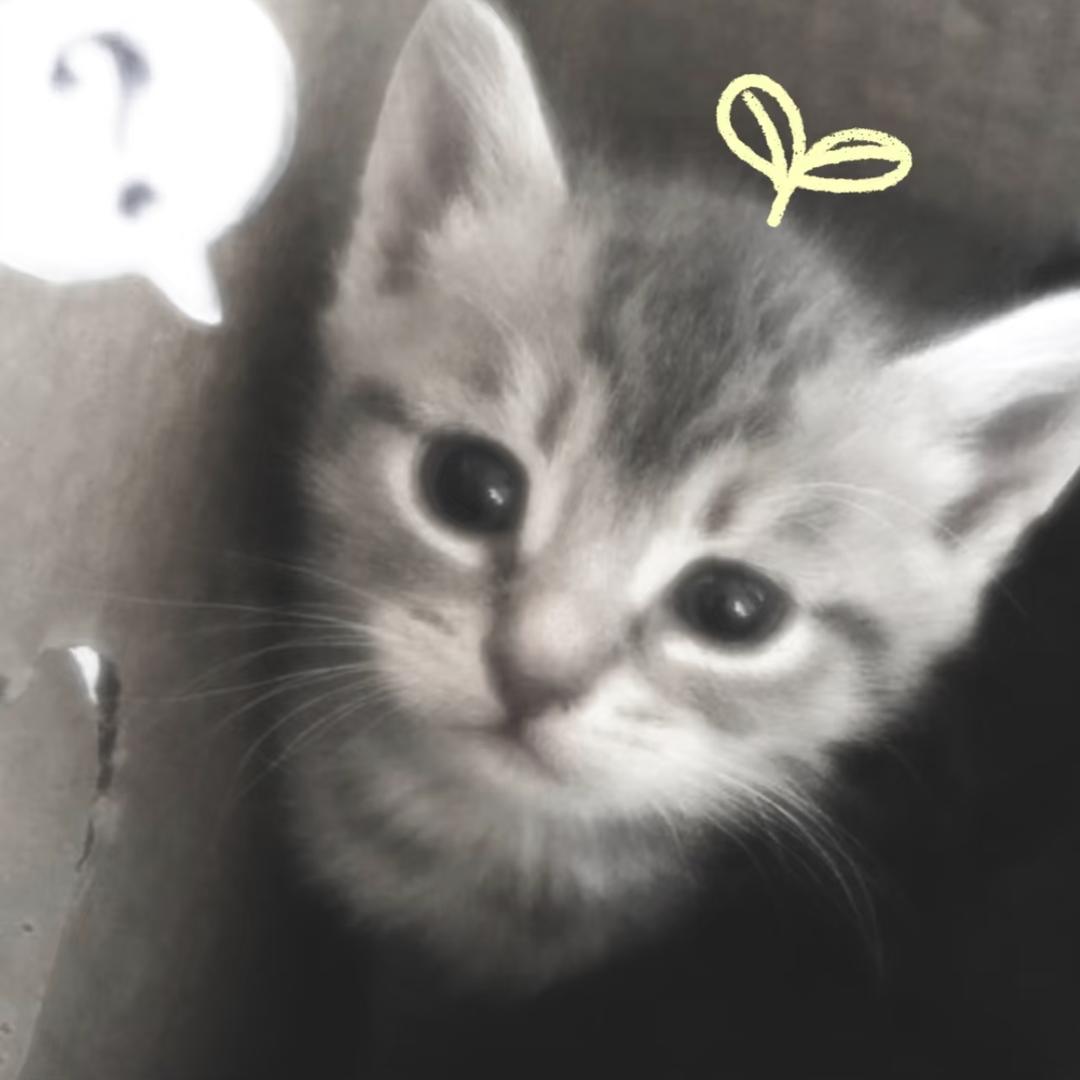 𝘼𝙥𝙧𝙞𝙡.四月🍀