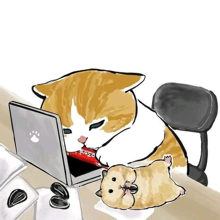 教招上岸某乌鸦