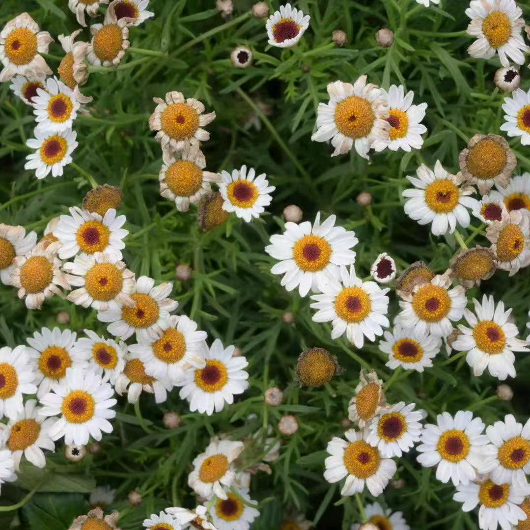 总有幸福在等你