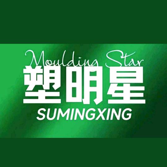 塑明星——阿丰