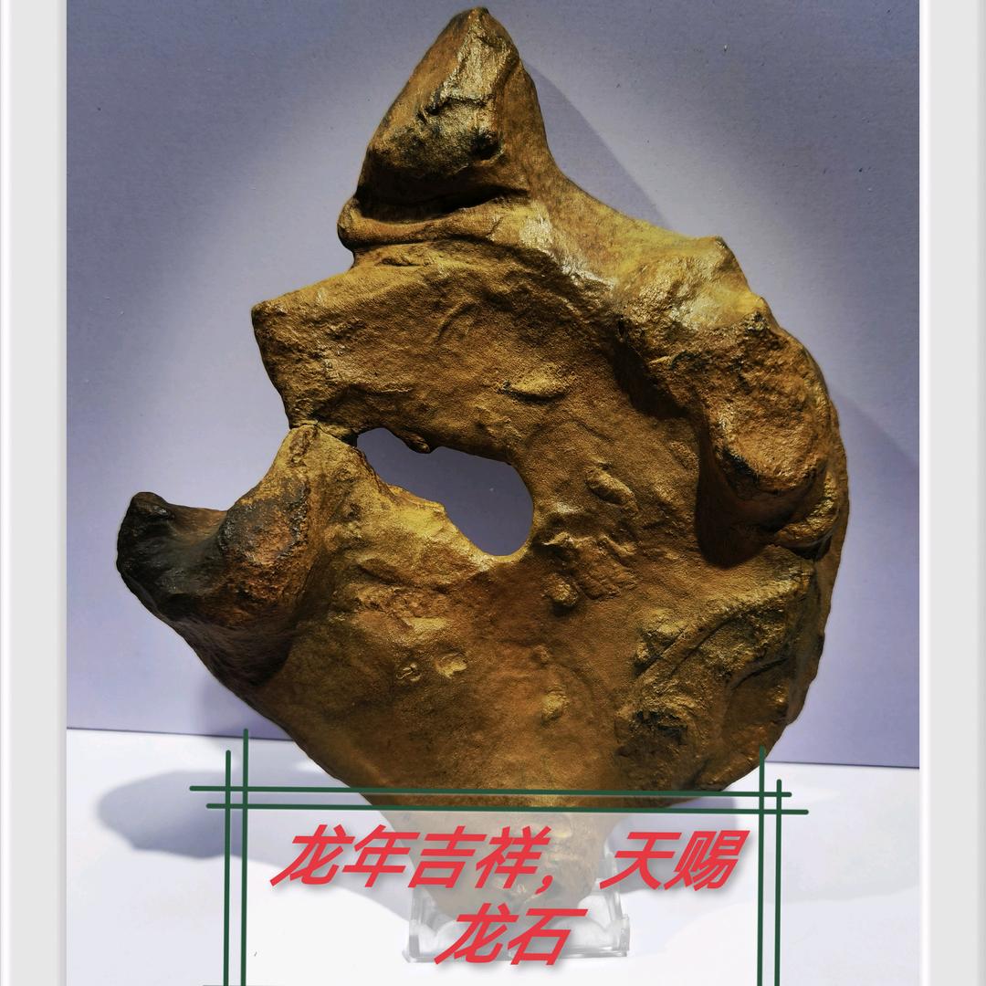 松江宝物之龙石古陨石