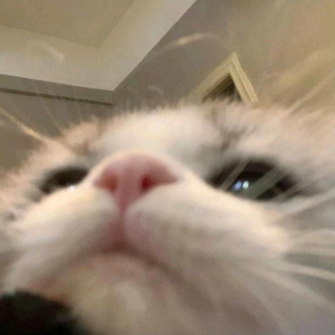 xxww: