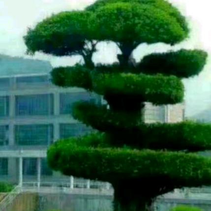 一家人开心平安