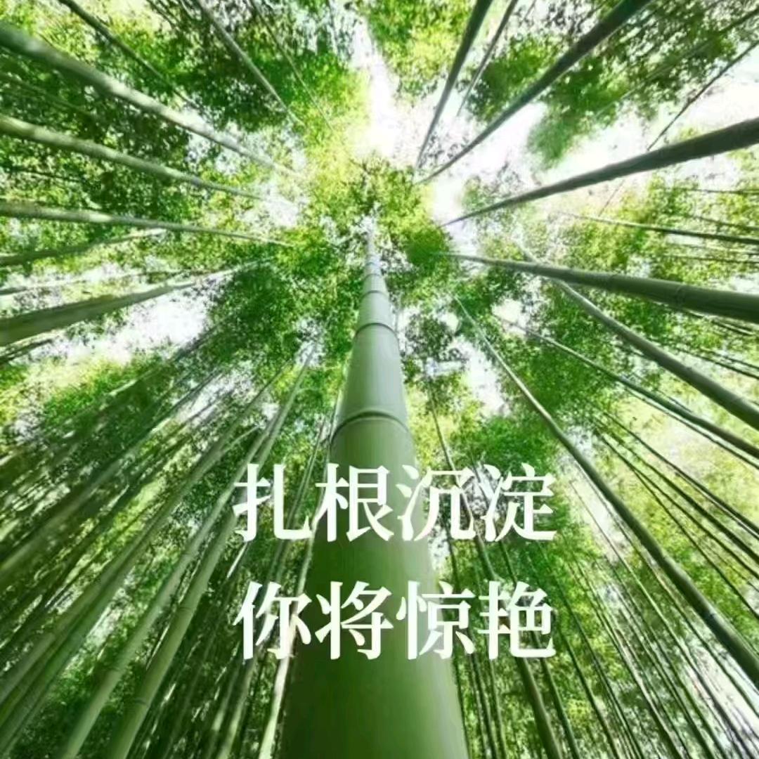 锲而不舍，金石可镂