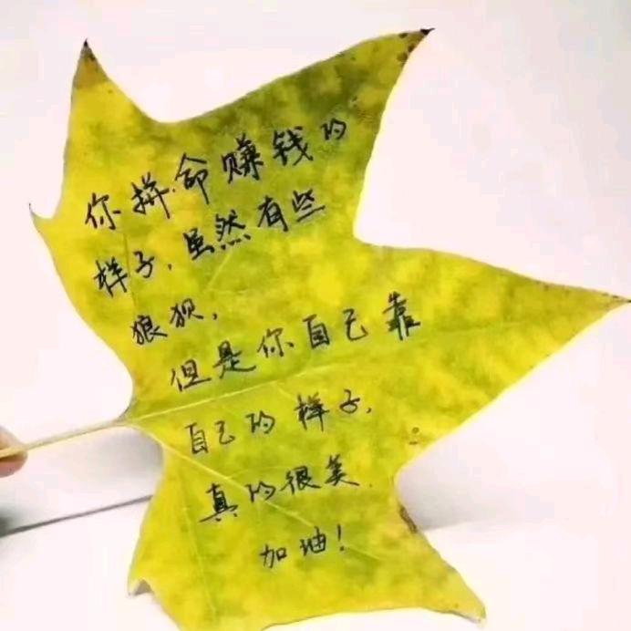 &陌生人&