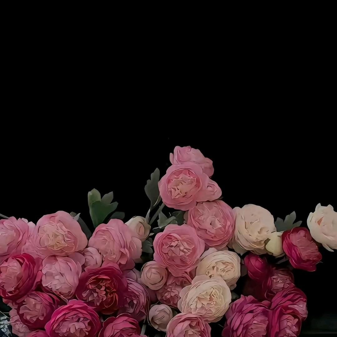 天下在手、应有尽有