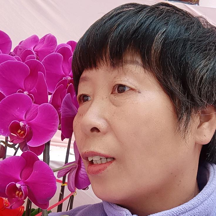 1978957304菊花美食