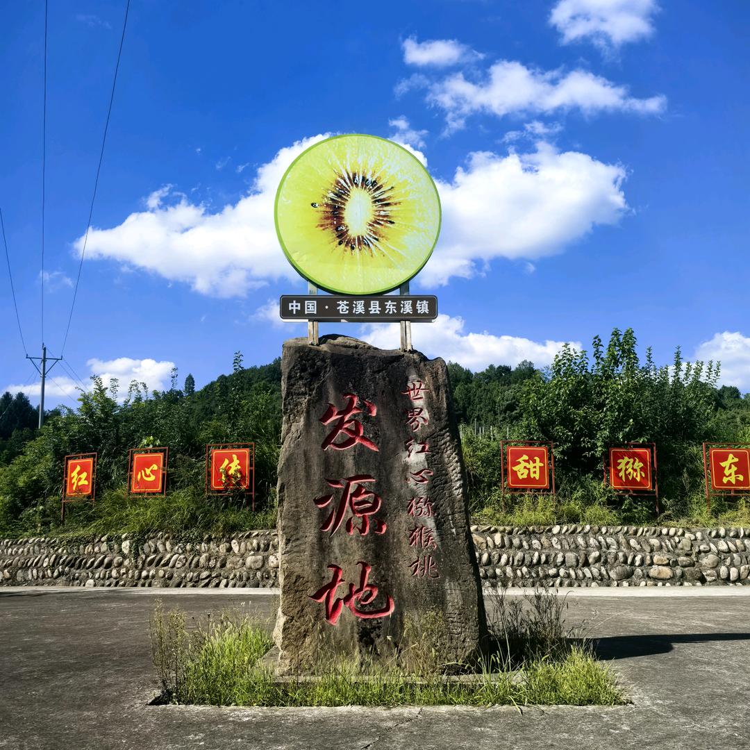 四川仲支书助农