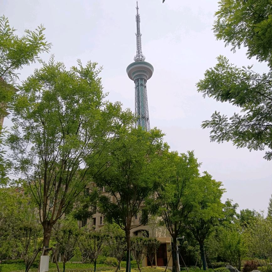 郑永宝