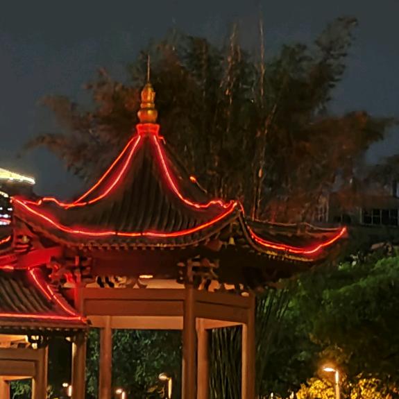 又见桃花开