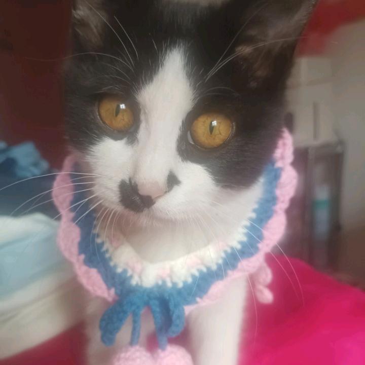 芳芳钩织玩偶包包