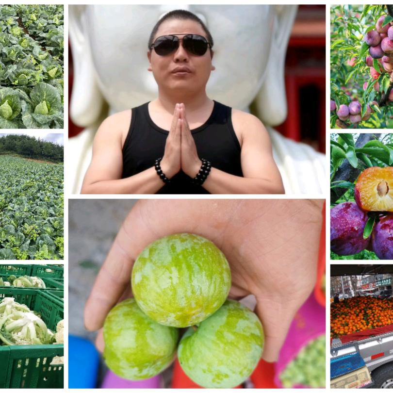 鲜🫐萃🥒果🥭蔬🍠集🍇🍓🥬