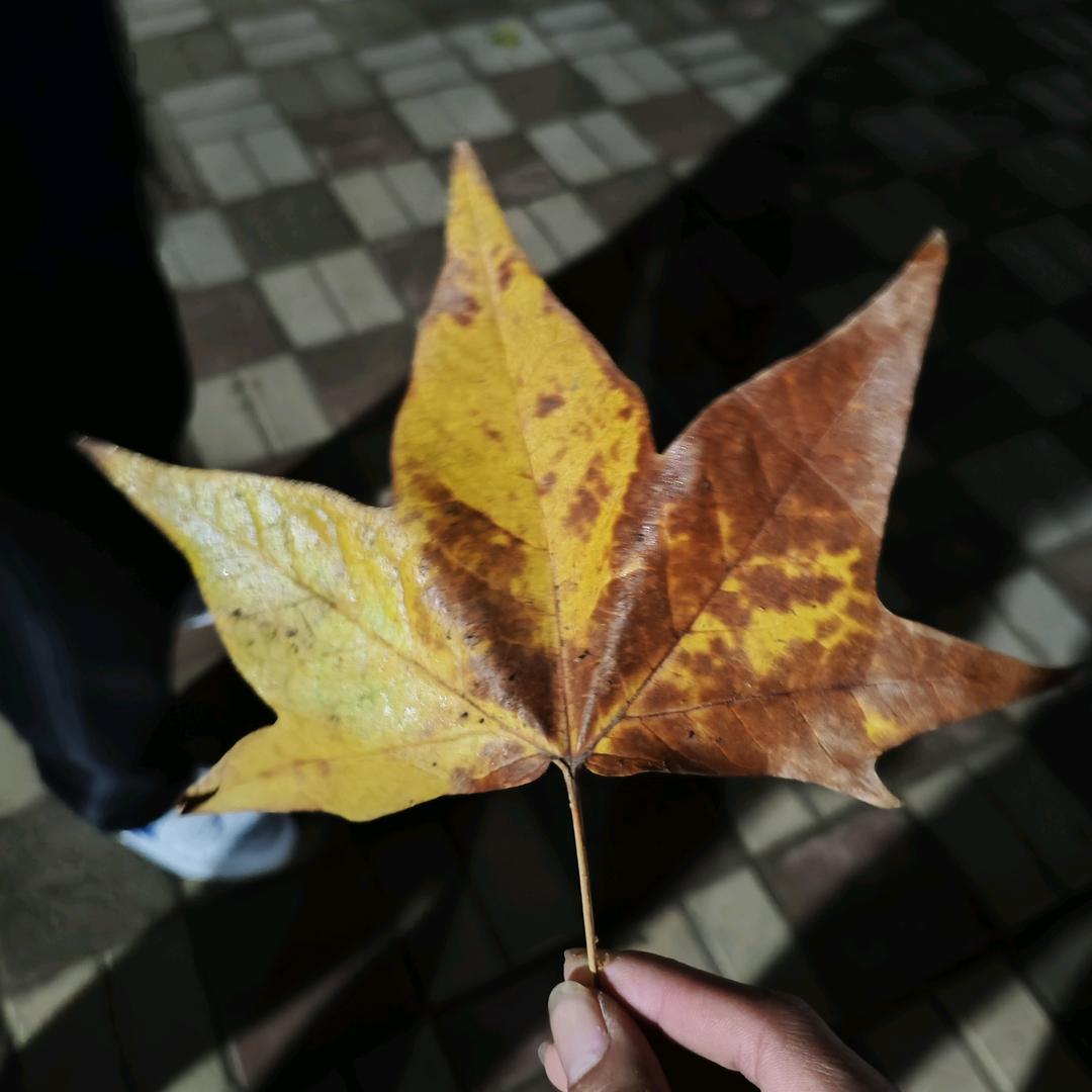 北笙