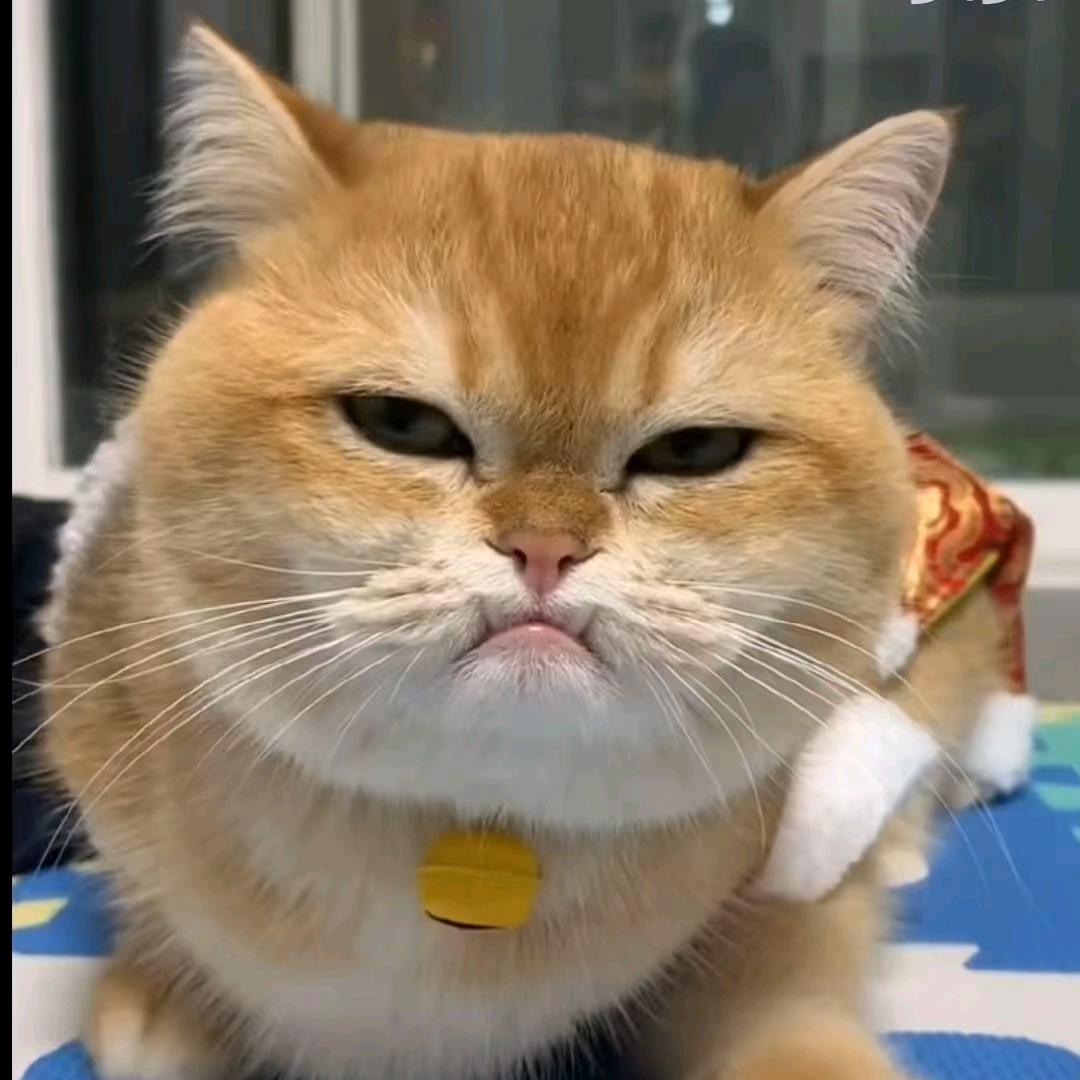 Eris