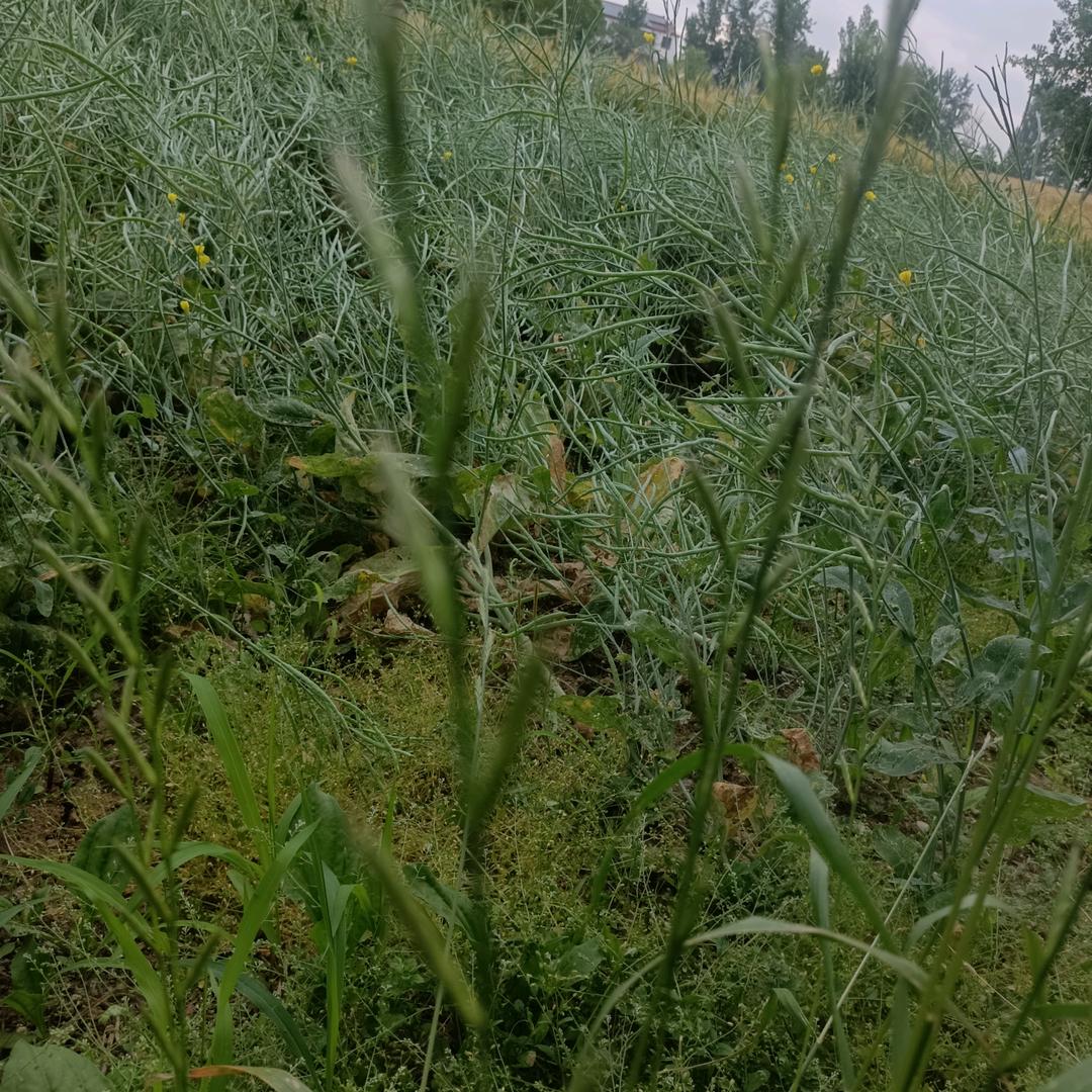珍惜当下