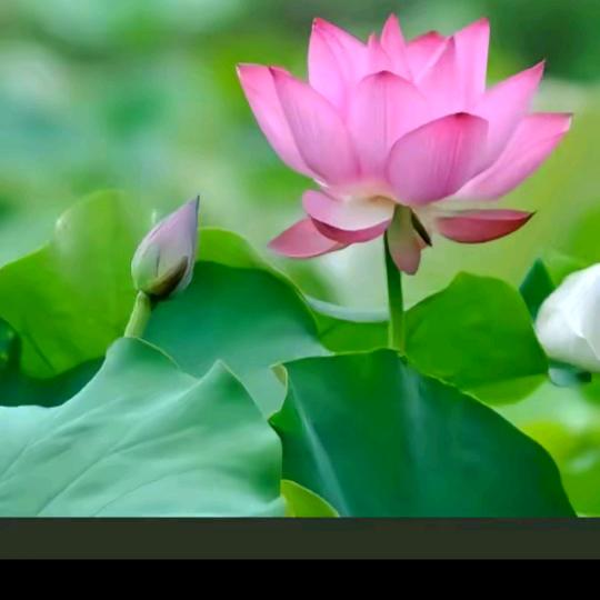 开心快乐永不老。