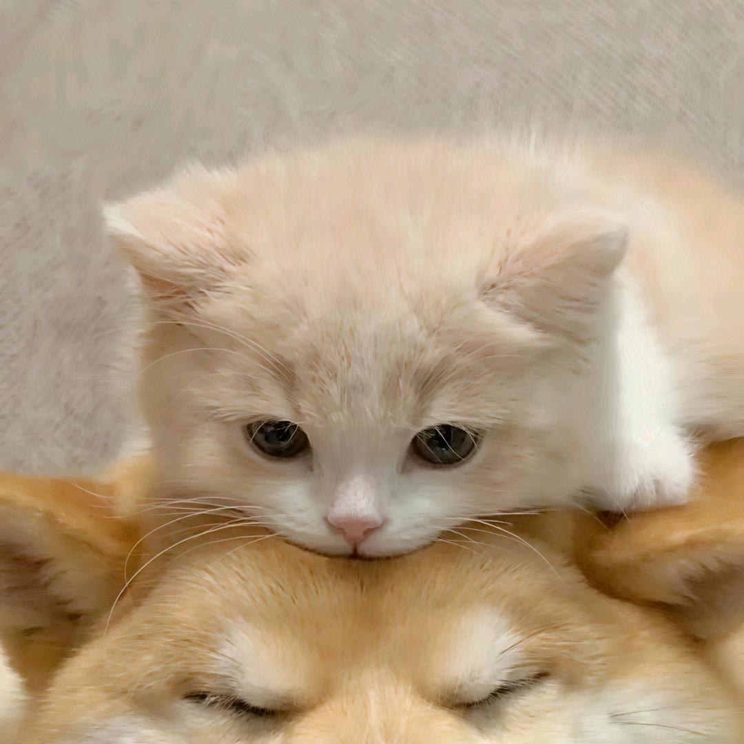 稳稳温温