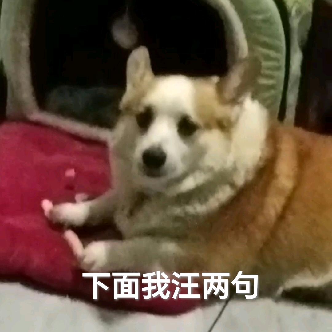 不吃猪肝（吃香菜版）